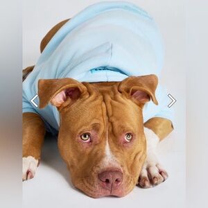 Comfrt Dog Hoodie Baby Blue 4 80-115lbs